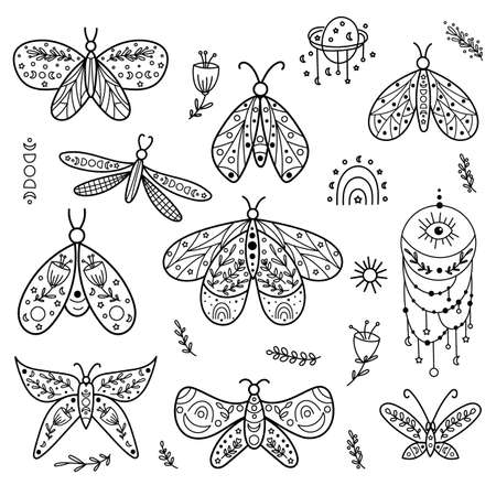 Celestial Butterfly Line art Clipart. Vector illustration.のイラスト素材