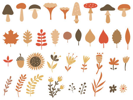 Autumn clipart with mushrooms and florals. Vector illustration.のイラスト素材