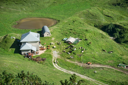 13 august 2020 - Piccole Dolomiti Carega group, Italy: The Malga Campobrun, In the heart of the Piccole Dolomiti Carega groupのeditorial素材