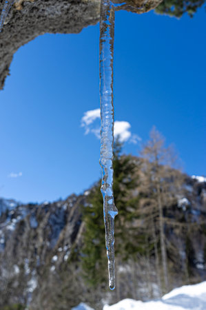 Close-up of ice stalactites against the background of a clear blue winter skyの写真素材