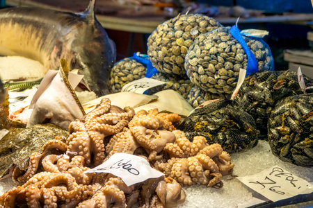 Close-up of a colorful seafood market stall with fresh octopus, clams, mussels, and fish displayed...