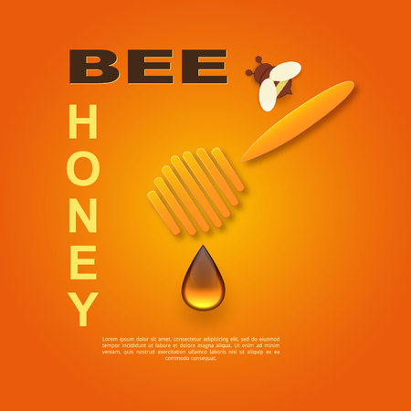 Paper cut like a bee with honeycombs. Design template for beekeeping and honey advertising. Orange background. Place for your text. Vectorのイラスト素材