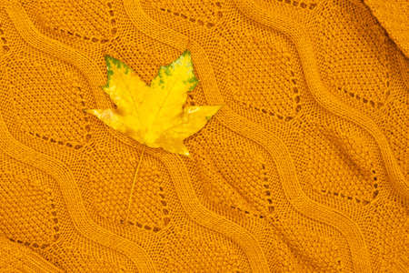 A bright yellow leaf lies on the sweater. Autumn composition. Filmed from above.の写真素材