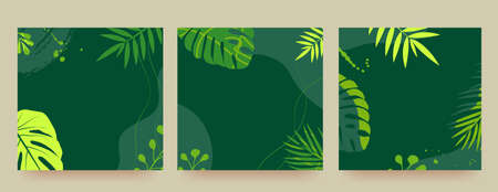 Set of promotional banners with tropical leaves, plants and trendy flower patches. tropical summer....