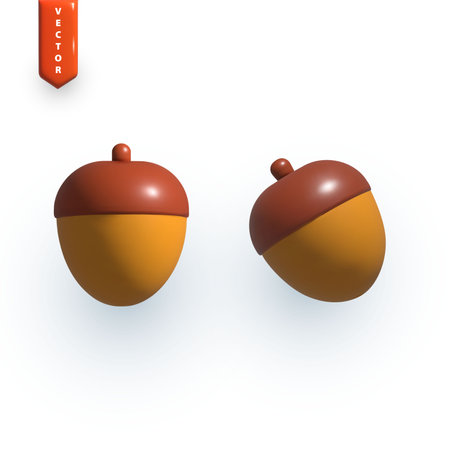 Realistic acorn in different projections. vector illustrationのイラスト素材