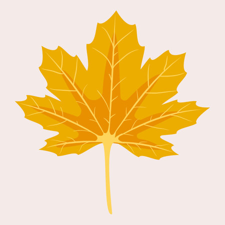 Autumn maple leaf. Decorative autumn foliage. Template for illustrations. Vector illustration