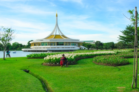 field of siam tulip or patumma blooming at rama IX public garden in Bangkok,Thailandのeditorial素材