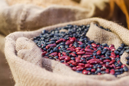 Red kidney and black beans in sack bag in the barnの写真素材