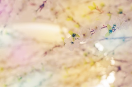 Artificial Sakura flowers for decorating with blur color filterの写真素材