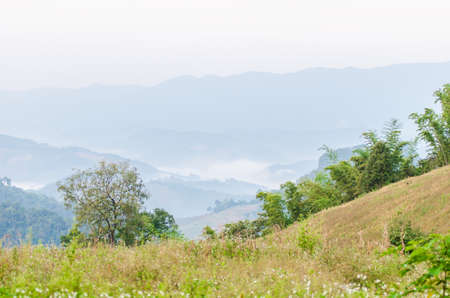 Mountains landscape and soft mist in winter morningの写真素材