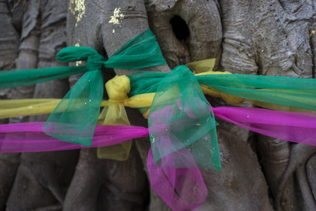 Tree root with Buddhism faithの写真素材