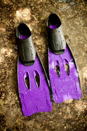 Fin purple.の写真素材