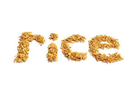 The word rice is laid out of wheat grains on a white backgroundの写真素材