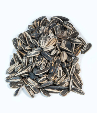 sunflower seedの写真素材