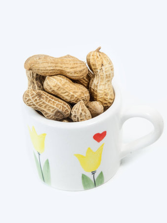 Peanut in a cupの写真素材