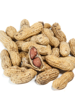 Peanut 