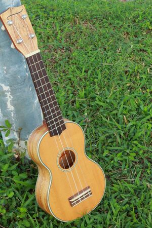 Ukulele placed against the pole の写真素材