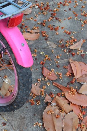 Bicycle wheel 