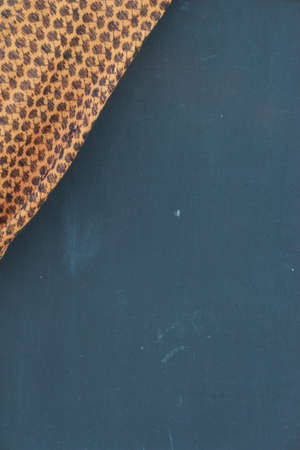 Cloth on the board の写真素材