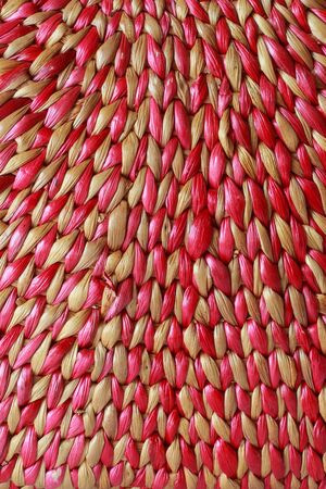 Hyacinth background の写真素材