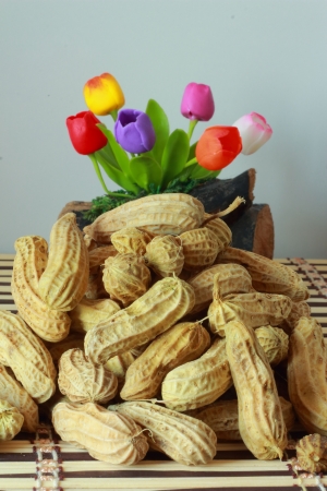 Peanut の写真素材