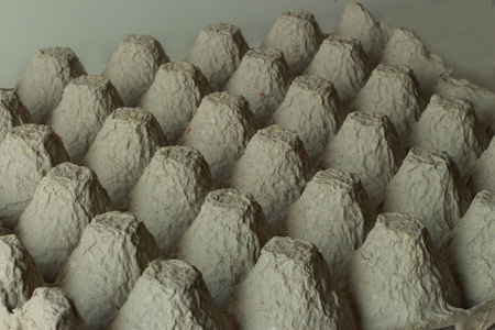 Gray egg carton 