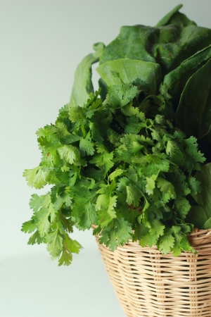 Kale and parsley in basket