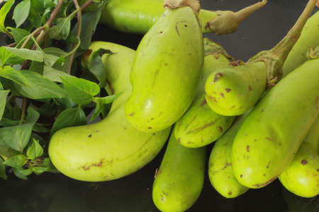 Eggplant and green vegetables の写真素材