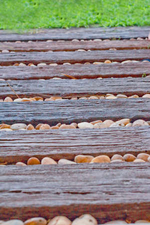 Pathway stone to woodの写真素材