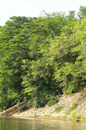 Rivers and forests.