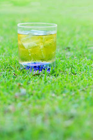 Ice tea on the lawn.の写真素材
