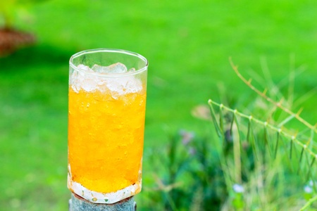 Orange juiceの写真素材