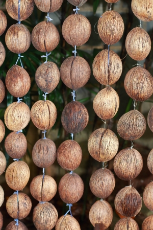 Hanging coconut.の写真素材