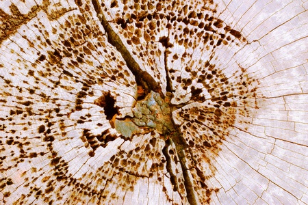 Old wood backgroundの写真素材