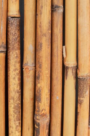 Bamboo background.の写真素材