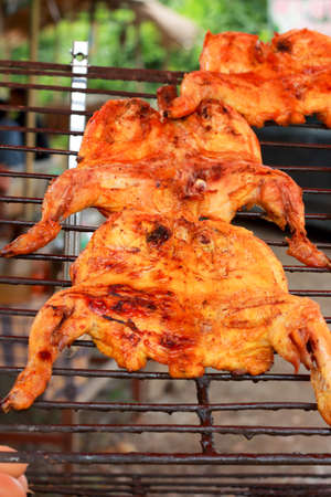 Roasting chickenの写真素材