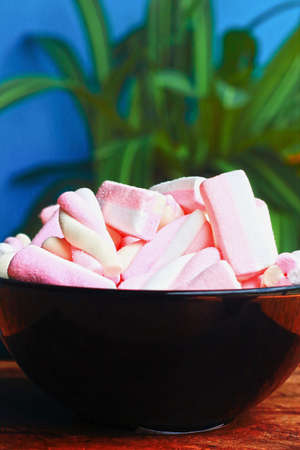 Pink marshmallowsの写真素材