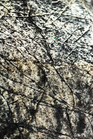 Marble backgroundの写真素材