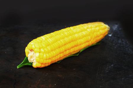 Fresh corn on the table.