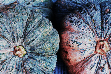 Fresh green pumpkin
