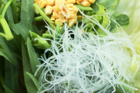 Fresh vegetableの写真素材