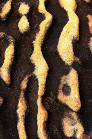 Stone walkway backgroundの写真素材