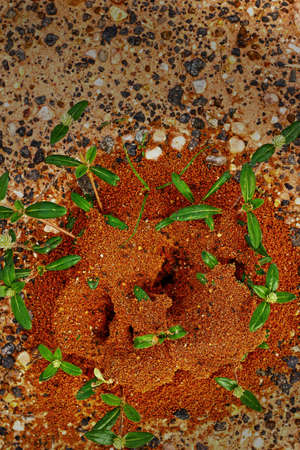 Ants nest with green grass の写真素材