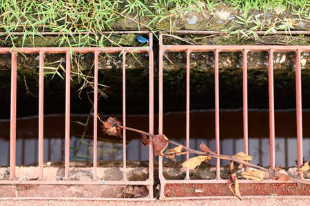 Old iron with grass malfunctioning the drain の写真素材