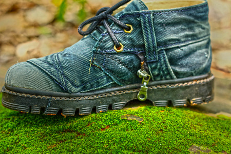 Old shoes on a moss green 