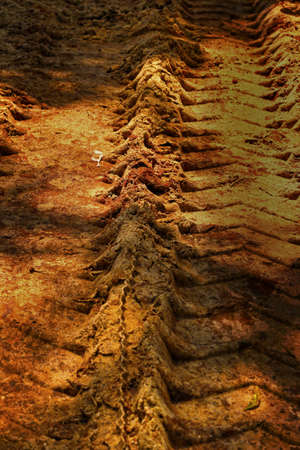 Wheel tracks on the soil の写真素材