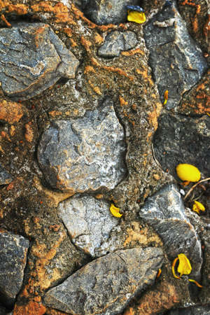 Stone wall background texture - vintageの写真素材