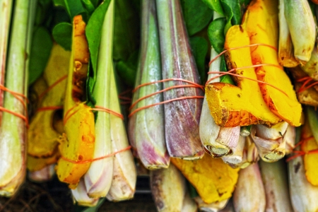 The Soup fresh vegetables at the market の写真素材