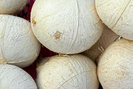 Burn the coconut market.