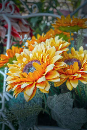 Beautiful chrysanthemum of artificial flowersの写真素材